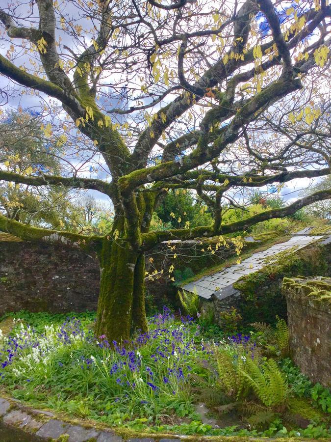 Willowhill House Minane Bridge Экстерьер фото