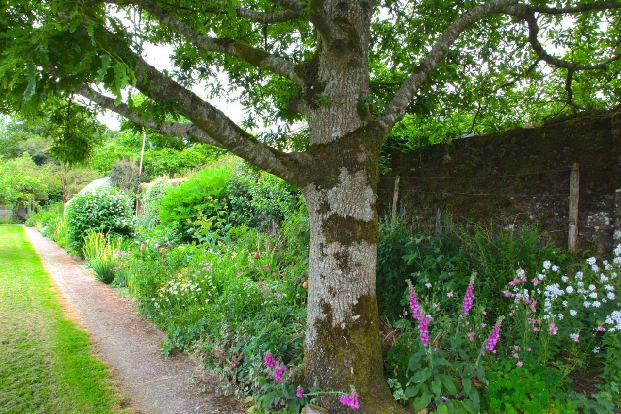 Willowhill House Minane Bridge Экстерьер фото